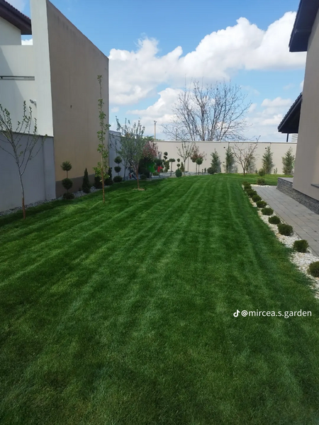 Amenajari gradini spatii verzi