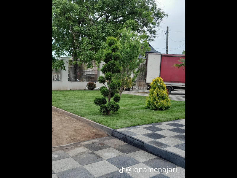 Amenajari gradini spatii verzi