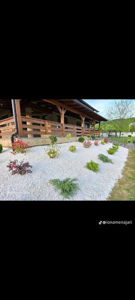 Amenajari gradini spatii verzi