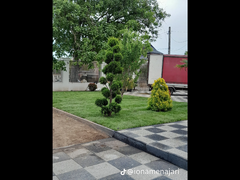 Amenajari gradini spatii verzi